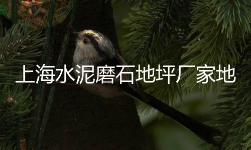 上海水泥艺术涂料、上海水泥顶管压浆公司、上海水泥毯施工方案最新、上海水泥砂石建材码头厂家