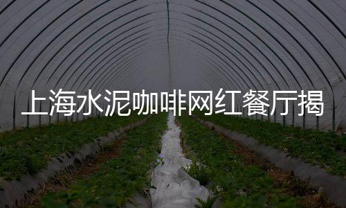 建筑青石子批发、郑州石子批发商、江苏景观石子批发、谢岗石子批发厂家
