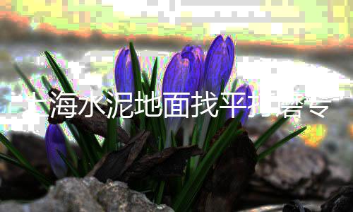 广州天河黄沙批发市场、黄沙水泥批发出售信息、黄沙港渔船海鲜批发码头、黄沙水泥红砖批发出售