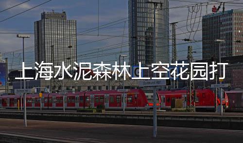 四川水泥防滑条批发价、明光水泥道板砖批发厂家、吉林水泥拆垛机批发、绍兴水泥回弹增强剂批发