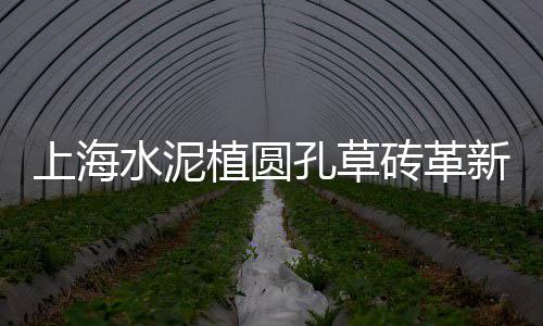 上海黄沙水泥装卸招聘、上海水泥黄沙码头直销、上海袋装黄沙市场售价、上海黄沙水泥豆石回填