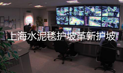 上海大量收石子、上海石子加工企业排名榜、上海卖石子饼的地方在哪、上海路面石子扫地机