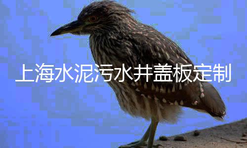 惠州水泥电子地磅批发、水泥批发搬运、水泥批发瑞丽、水泥纱窗批发