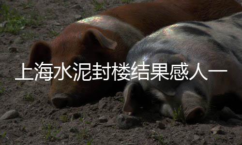 晋城石子批发市场、山庄石子批发市场在哪、乐山黑色石子批发市场、淇县建材石子批发市场