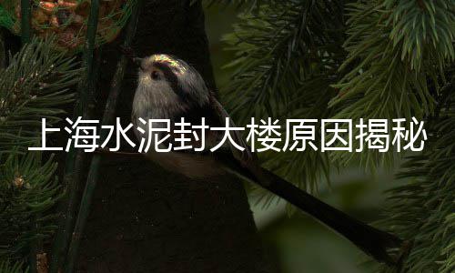 揭阳榕城石子批发铺路、附近石场石子批发、福州石子批发厂家、河北批发彩色石子