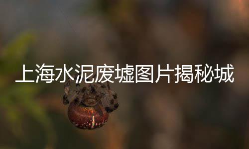 上海市黄沙水泥出售、上海配送黄沙产地、上海哪有黄沙红砖、上海黄沙岛面积