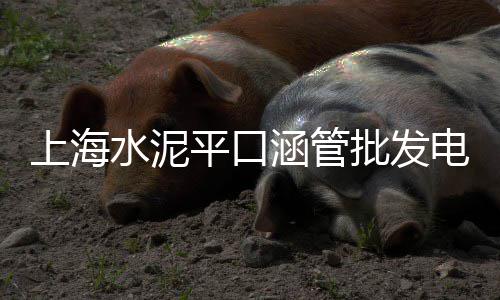 普宁流沙水泥批发、延安水泥制砖机批发、滨州水泥檩条批发、来宾水泥护栏批发