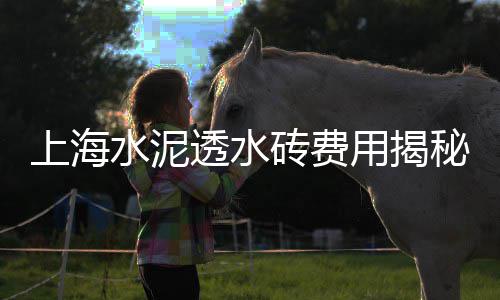 潮汕石子批发厂家地址在哪里、北碚区石子批发厂家、砂岩石子批发、共青石子批发