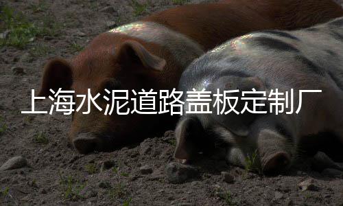 廊坊石子批发厂家、万洲水磨石子批发、孟津区石子批发多少钱、河南青石子批发厂家在哪里