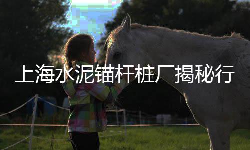 安达专业大沙石子水泥零售批发、安达专业大沙石子水泥零售批发、平顶山石子零售市场在哪里、辉县零售石子店在哪个位置