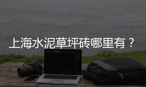 石子大锅盔批发厂家、山西批发彩色石子、吸水石子厂家批发、鸡蛋石子馍批发