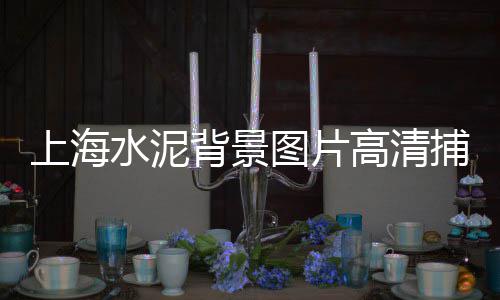 上海水泥库防腐、上海水泥电阻出售价格、上海水泥早强剂用量、上海水泥出租电话号码