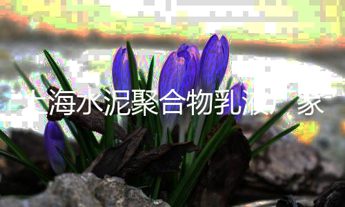 余姚石子砂石价格、青铜峡石子价格、广发石子出售价格、龙岩沙石子价格查询