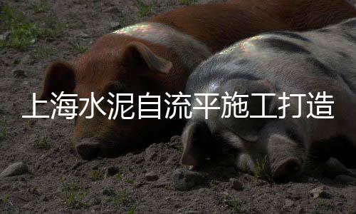 驻马店石子零售、纸坊建材沙子石子水泥批发零售、此地石子零售点在哪里啊、昆山碎石子零售店地址