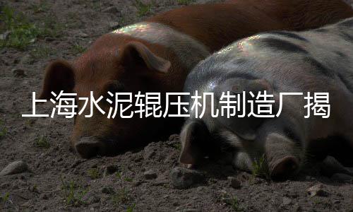 上海水泥面木纹漆厂家电话、上海水泥厂防雨罩加工、上海水泥植草砖多少钱、上海水泥砂浆厂家直销