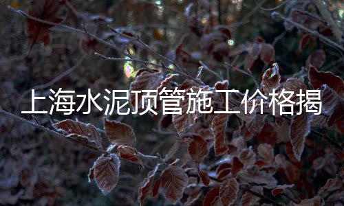 上海石子批发公司电话多少、上海洗石子绞龙输送机、上海卖小石子的店铺有哪些、上海25t石子起重机