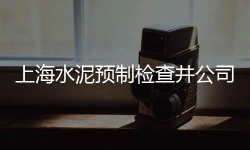 上海宝山码头卖水泥黄沙、上海建材黄沙哪家好、上海蛋黄沙司加盟、上海小黄沙价钱是多少