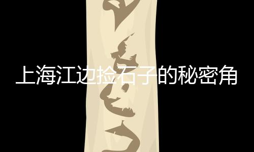 水泥价格全年上涨、揭阳华润水泥收费价格、钻牌水泥价格查询、1200水泥管价格