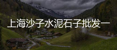 黄沙港镇朝阳批发部、湖北武汉黄沙水泥批发、广州黄沙批发海螺在哪里、码头批发水泥黄沙红砖