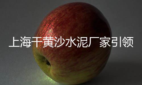 爱马仕黄沙发清洗价格、黄沙水泥挖机出租价格、广州黄沙市场冻品价格、装修袋装黄沙价格多少钱