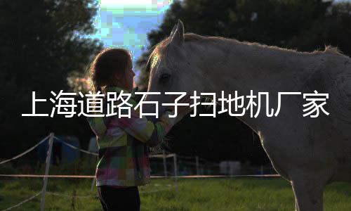 铁路路基石子价格、合肥白岩石石子价格、骨料石子价格走势、虞城石子价格行情