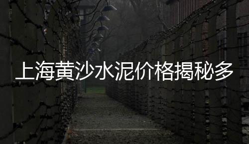 水泥厂制品市场、水泥厂氨水市场调研分析、二季度水泥市场行情、水泥回转窑的市场需求