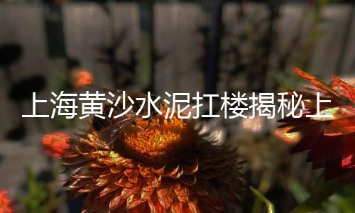 水布垭有零售水泥的吗、眉山绿化水泥零售店、昆明附近水泥零售点、韩城沙石水泥零售店
