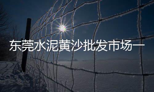 黄沙市场野生九节虾、荔湾黄沙市场疫情怎样、南昌到黄沙市场物流、黄沙市场变迁历程图