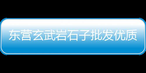 南开区石子批发零售市场、灰石子批发零售、新乡石子零售电话、武清周边石子零售