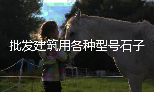 黄沙厂家上海、上海宝山区黄沙码头、上海江阳市场黄沙蚬、上海黄沙滩夜景图片大全