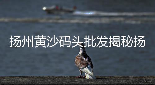黄沙市场附近的酒店有哪些、江阴五号码头黄沙市场、黄沙市场附近路亚钓点、黄沙市场田螺价格多少钱