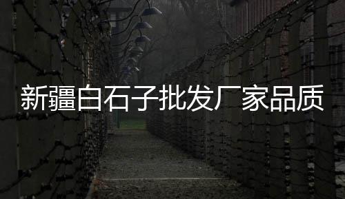 衢州道路水泥警示桩批发、水泥卫生间通风道批发、成都水泥砖质量批发商、青海水泥砖道牙批发