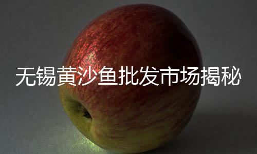 阿坝河沙石子价格、砂子石子价格、石子价格13、水磨石白石子价格