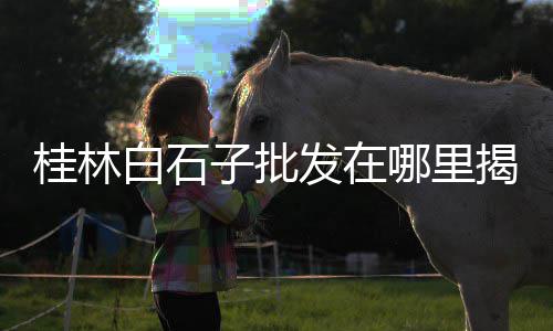 温州小黄沙价格走势、黄沙2.3-3.0价格、湖南长沙黄沙最新价格、杭州黄沙石子价格