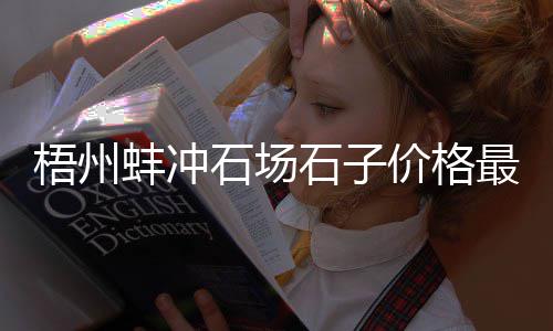 锦江石子批发电话号码、广东省石子批发、绍兴建材石子批发、沥青建筑石子批发山西
