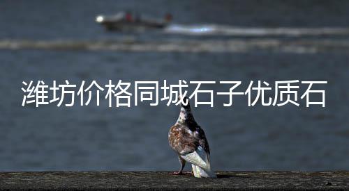 黑牛城道石子批发零售、南开区石子零售店电话、辛口镇石子零售部在哪里、水冶石子零售店地址电话