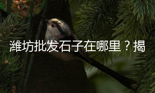 岫玉石子批发厂家、山西白石子批发厂家地址、从化再生砖渣石子批发、朱沱哪里有石子批发