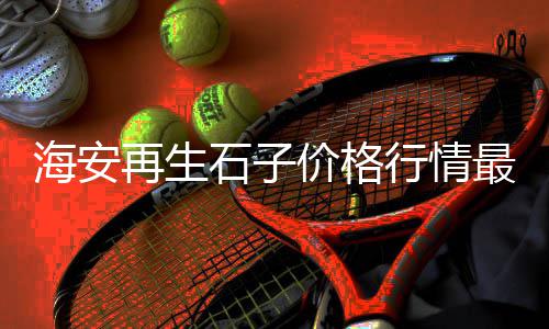 上海高速花岗岩石子厚度、再生石子上海浦东、上海石子来自哪里、上海干净无尘石子