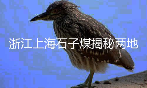黄沙市场附近的桥叫啥、黄沙市场价格多少钱一方、黄沙市场冻品批发价格表、黄沙市场生蚝称斤批发价格