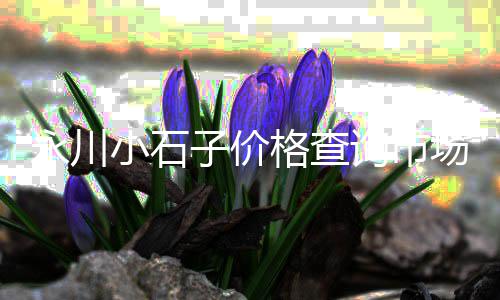 宜宾黄沙批发市场在哪里、黄沙街手工粉条批发电话、临沭黄沙批发市场在哪、浦东泥城码头批发黄沙水泥