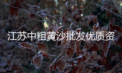 丹寨批发水泥、江宁区白水泥批发厂家、建邺区水泥黄沙批发价格、水泥灌浆记录仪批发商