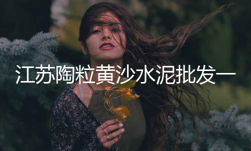 徐州批发零售黄沙水泥、合肥黄沙水泥批发零售、批发零售砖块黄沙水泥、小马水泥黄沙批发零售