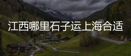 上海石子烤馍、上海到上海石子运输价格、上海哪有青石子卖、上海石灰岩石子