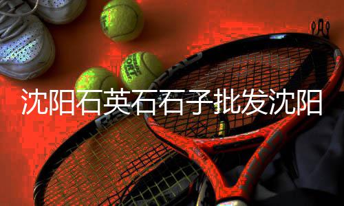 上海水泥黄沙怎么买的到、上海中粗黄沙公司、上海卸黄沙的货源、上海黄沙贴砖厂家