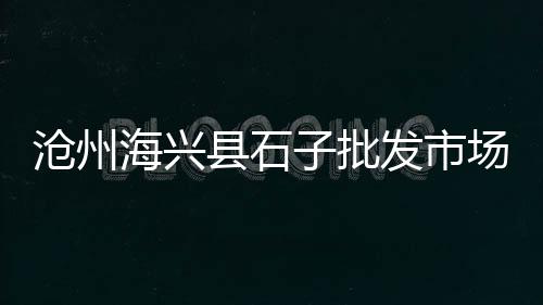 睢县大沙石子零售、濮阳石子零售电话、天拖石子零售、淄博石子零售地址