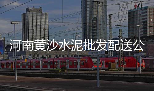 上海滩南汇黄沙滩、上海优质黄沙砖块、上海嘉定黄沙码头、上海宝山黄沙批发