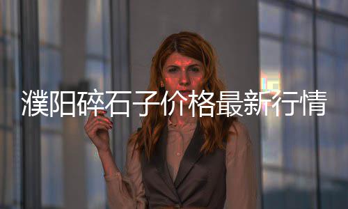上海高钙石子哪里有货源、上海建材石子哪里有、马尾运石子到上海、云阳江苏上海石子
