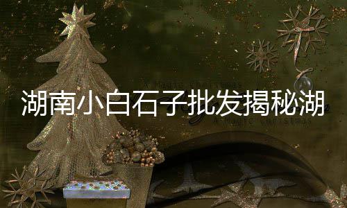 贵溪石子价格查询、镇平中联石子价格、城口石子价格、东营抛光石子价格