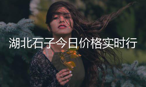 唐山二手石子清洗机市场、枣庄白石子批发市场在哪、水磨石石子 批发市场、吕梁彩石子批发市场在哪