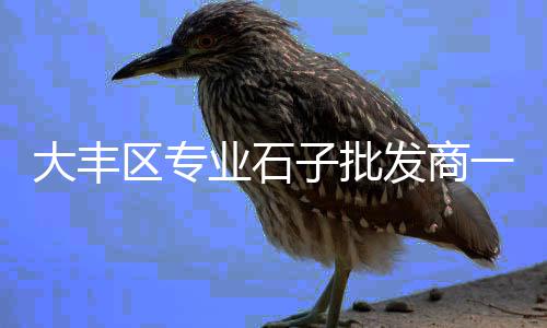 石子市场价格走势图表、六盘水石子批发市场在哪、莆田黄沙石子水泥批发市场、上饶景观石子批发市场地址